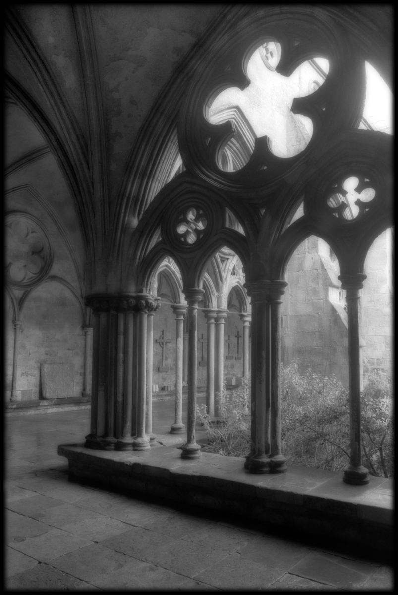 Salisbury Cloisters