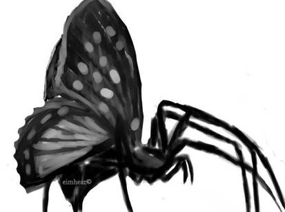 Old Spider Butterfly drawing
