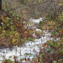 Creek with water flowing down