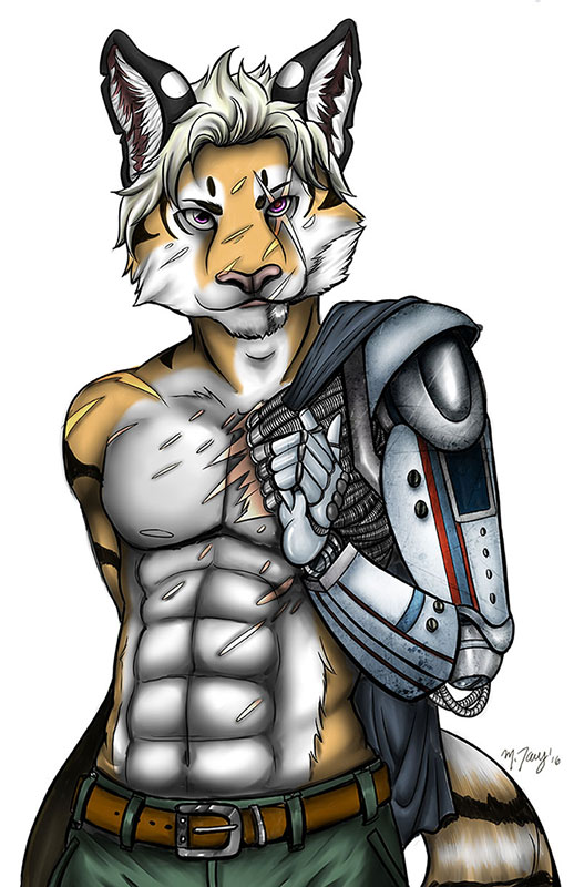 Commission - Djonin by shadowsmyst