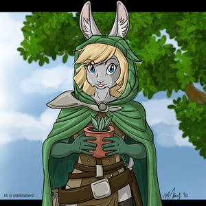 Druid bunny