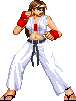 Female Ryu?