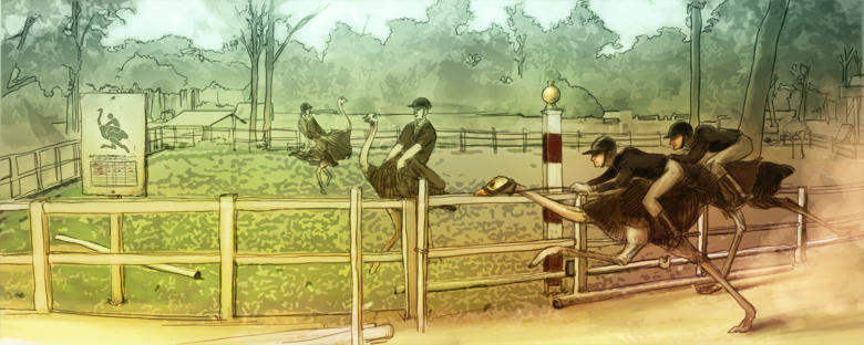 Ostrich Racing Background Ostrich Race by ggatz on DeviantArt
