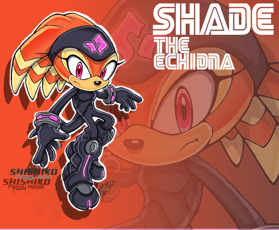 CE: Shade the echidna