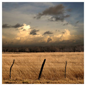 West Texas Wind