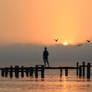 Silent Serenity
