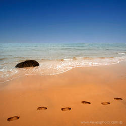 footsteps in the sand.....