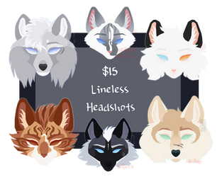 Lineless Headshots | OPEN