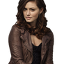 PNG - Phoebe Tonkin