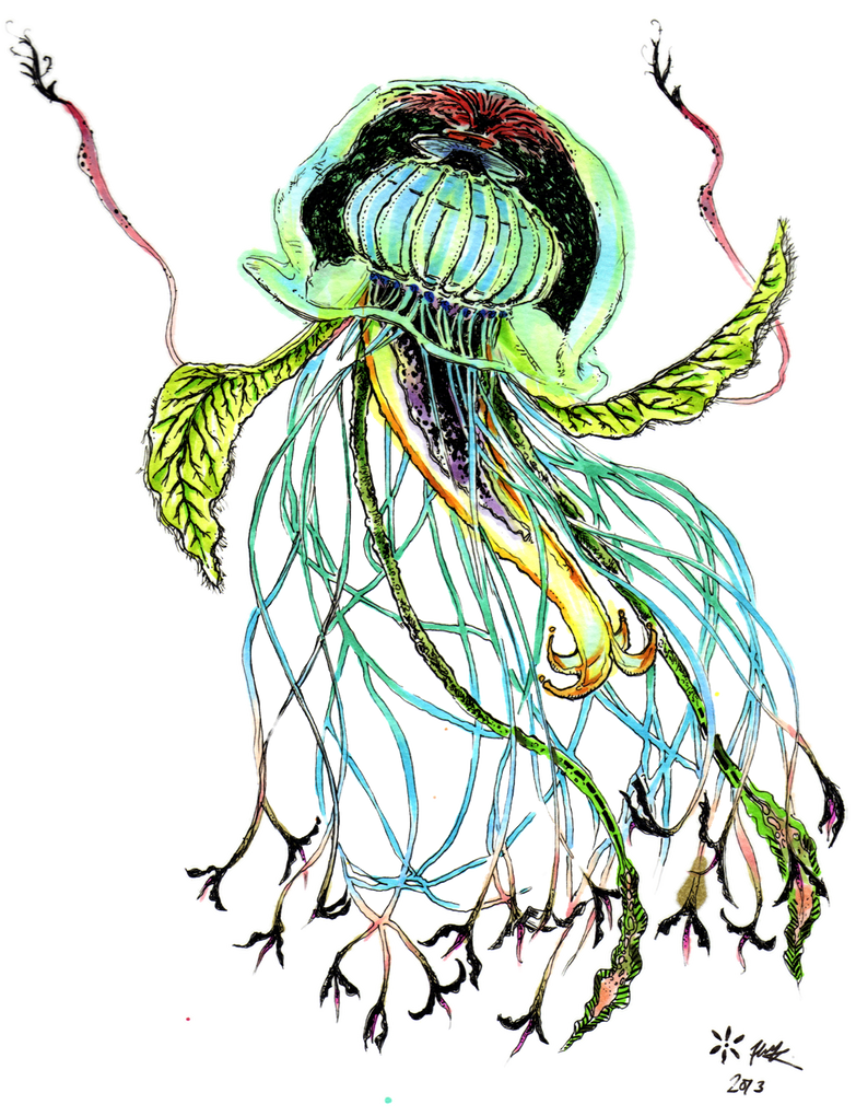 Salad Jellyfish