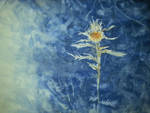 thistle by Unga33