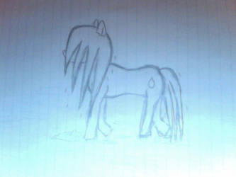 Wet Pony Drawing