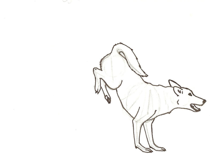Deviantart Animal Jumping Dog Jump 5 by Sentientbot on DeviantArt