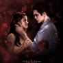 Breaking Dawn Efkan Z Design