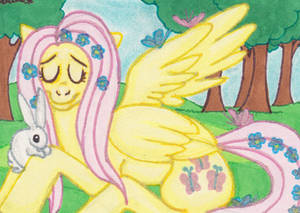 Fluttershy ACEO