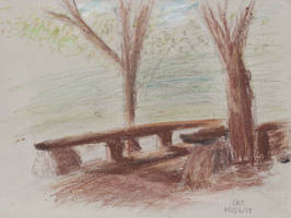 Bridge and Trees