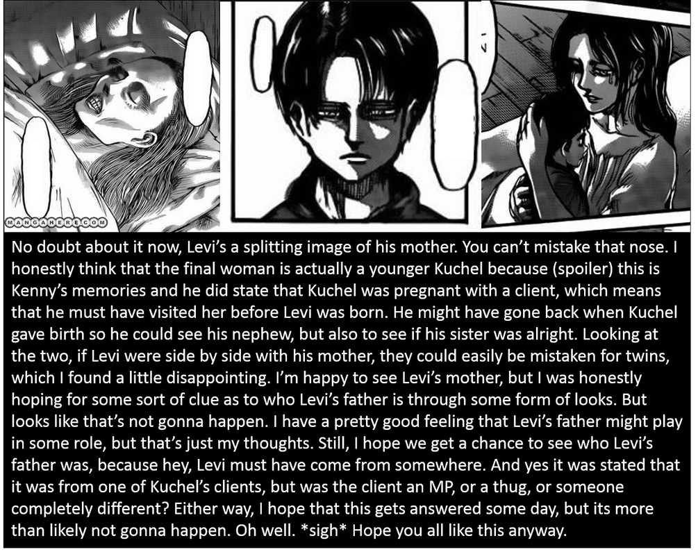 Thoughts on Levi's Mother (Spoiler Alert) by ALioness-w-NoRegrets on  DeviantArt