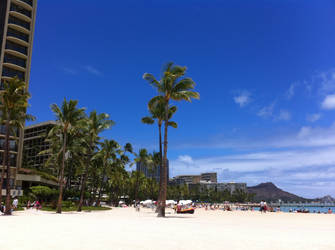 the beach at waikiki