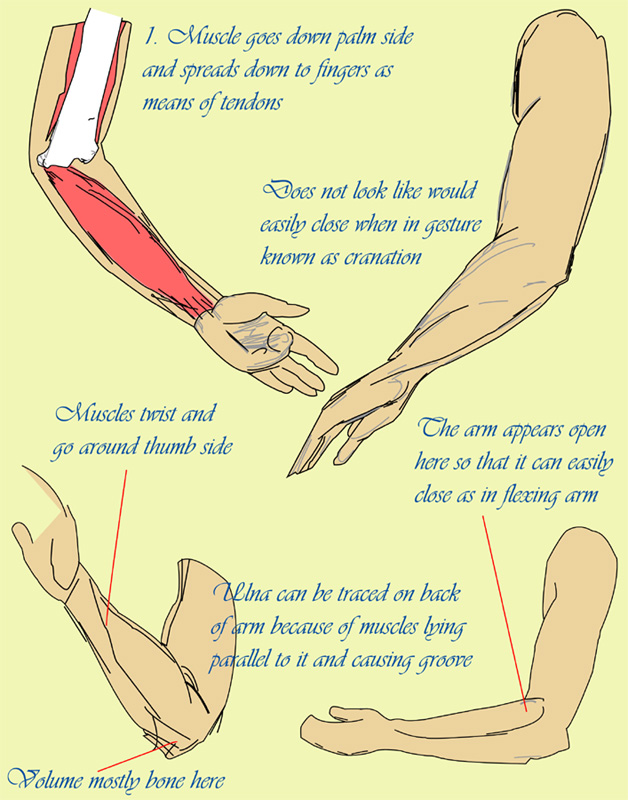 Jo Wagner Drawing Lesson 5