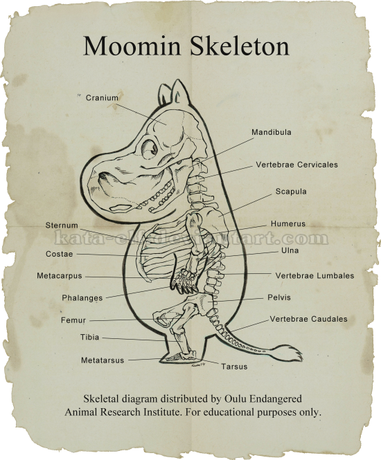 Moomin Skeletal Diagram