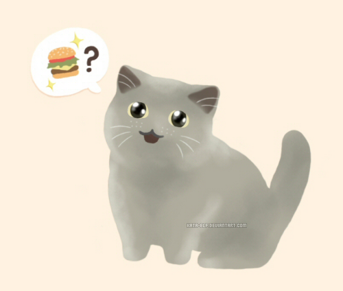 I can has cheezburger?