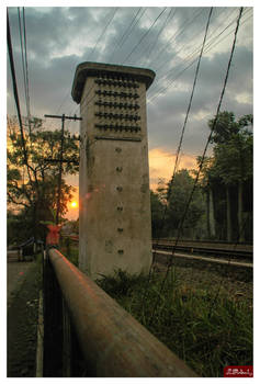 sunset and wire