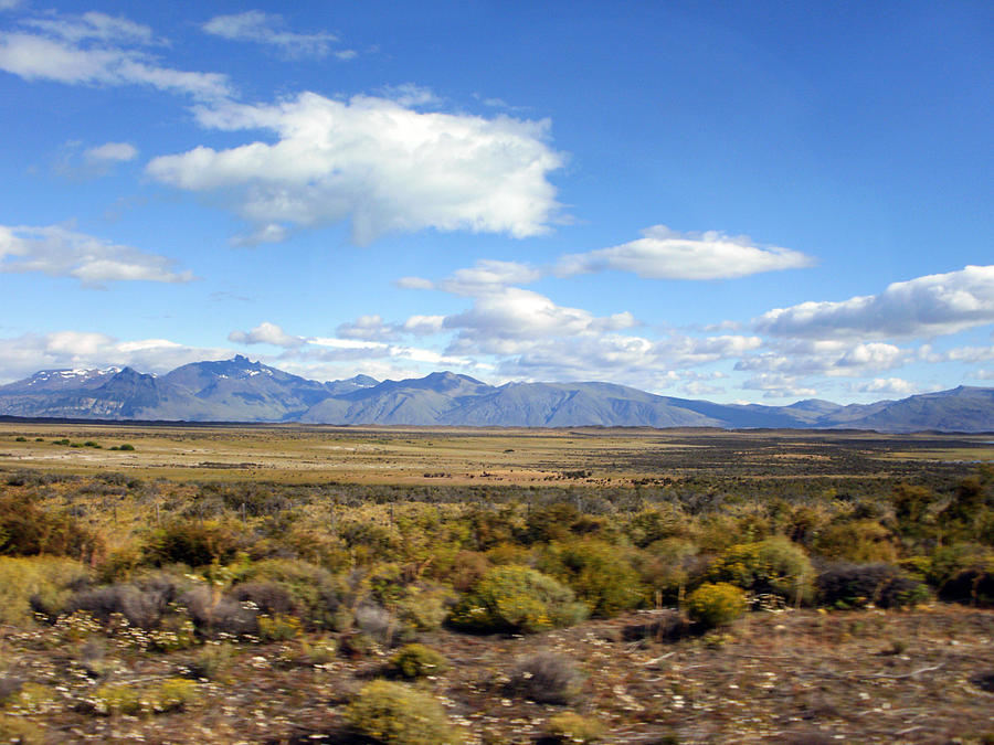 Estepa patagonica