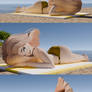 Wikiniapl on the beach - ass inflation 2