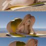 Wikiniapl on the beach - ass inflation 11