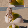 Wikiniapl on the beach - ass inflation 29