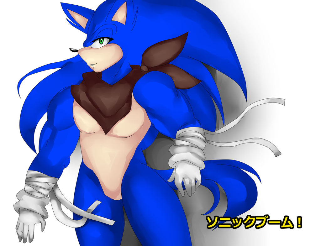 Sonic Boom: Sonic the Hedgehog