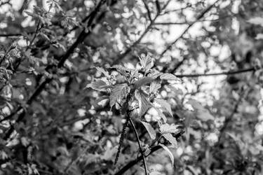 Kerobin - Hobbyist, Photographer | DeviantArt