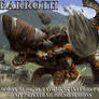 Barroth's side of story