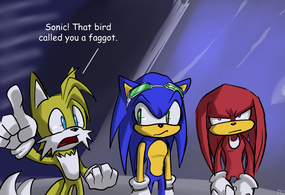 Sonic is a fag