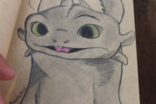 HTTYD: Toothless