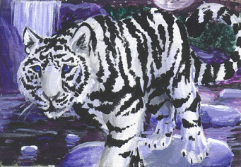 ACEO - White Tiger