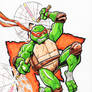 TEENAGE MUTANT NINJA TURTLES MICHELANGELO