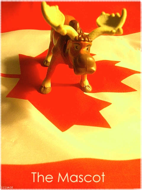 The Canadian Mascot