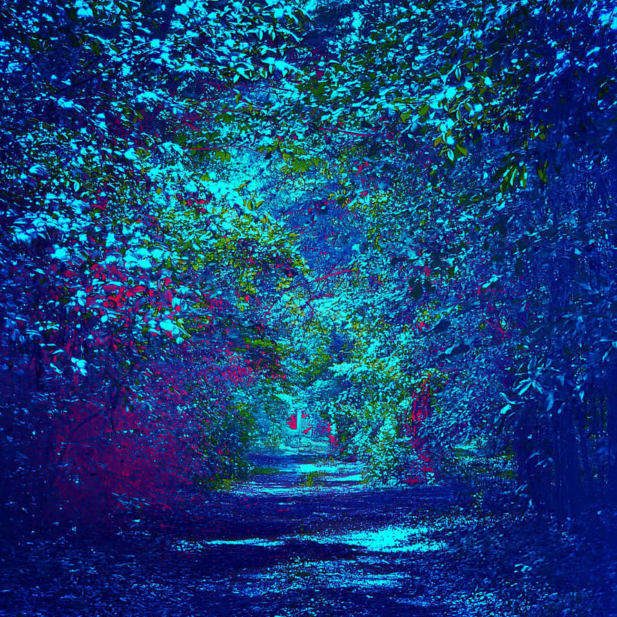 Path to the Unknown by kristrena on DeviantArt
