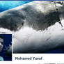 My Facebook Cover 2