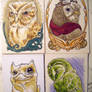 Owl Batch 1