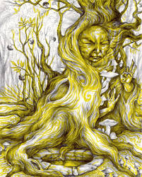 Sallow Mushroom Elder by sphinxmuse