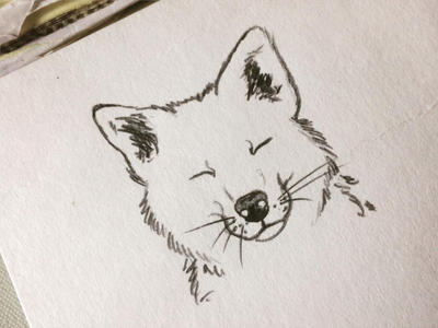 Fox Face