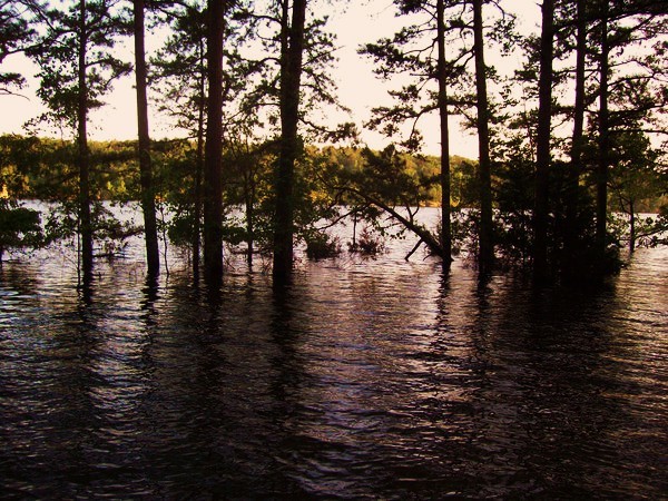 The flooded lake