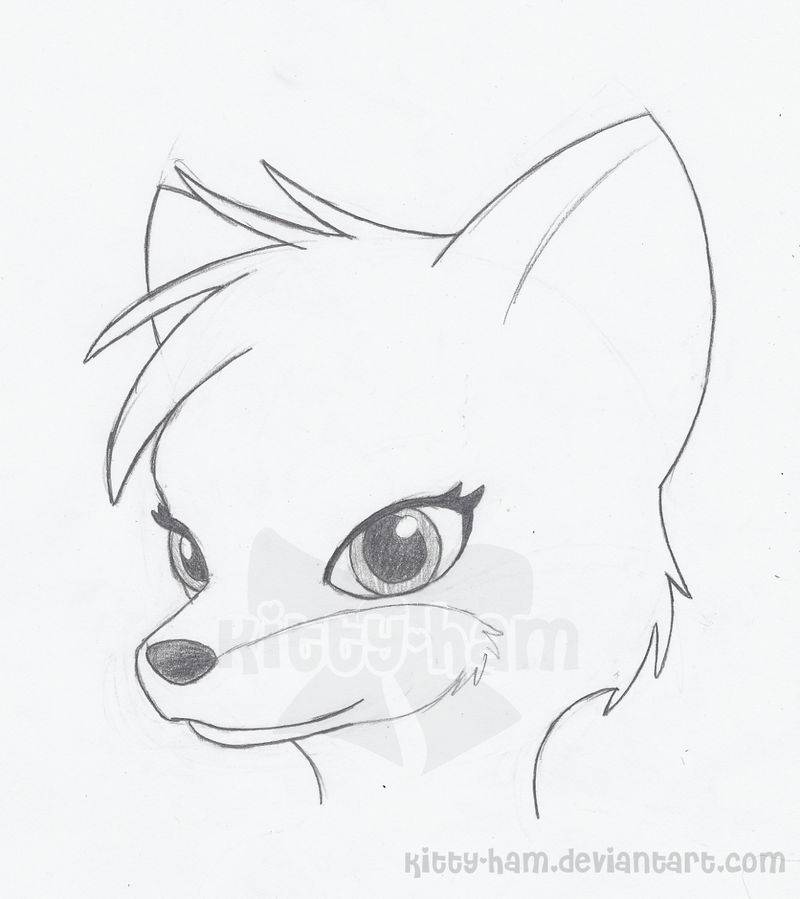 Pretty Fox Sketch