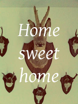 Home sweet home 02