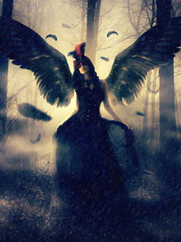 Black Wings