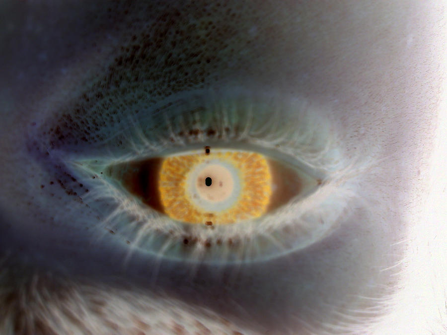 R Eye Inverted blue eyes inverted are odd by Alu-il-tigan on DeviantArt