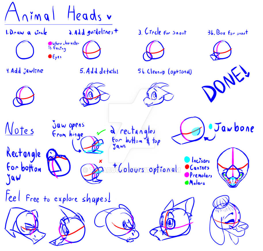 Animal Heads Tutorial by teyabug on DeviantArt