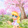 Spring